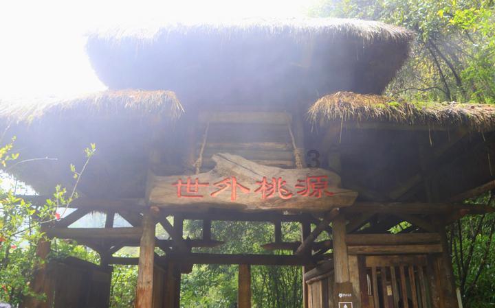 绿茵之巅